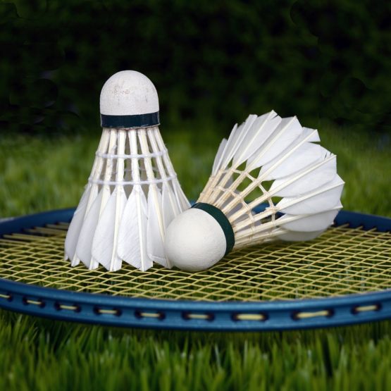 badmintonracket og to baller
